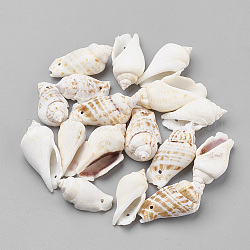 Perles de coquillage naturel, couleur de coquillage, 30~45x15~25x10~20mm, Trou: 1.5mm