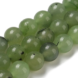 Olycraft 3 Strands Natural White Jade Beads Strands, Dyed, Imitation Prehnite, Round, Green, 8mm, Hole: 1.2mm, about 47pcs/strand, 14.57''(37cm)