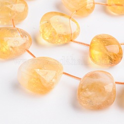 Brins de perles de citrine naturelle en forme de larme, teints et chauffée, perles percées, 15~30x11~20mm, Trou: 1mm, Environ 17 pcs/chapelet, 15.7 pouce