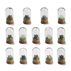 Gemstone Polygon Display Decoration with Glass Dome Cloche Cover, Cork Base Bell Jar Ornaments for Home Decoration, 30x60mm