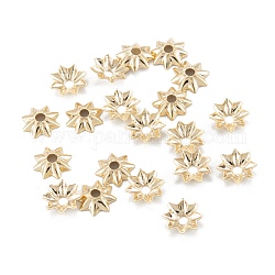 Multi-pétalo latón perlas tapas, Plateado de larga duración, chapado en rack, flor, real 14k chapado en oro, 5x1mm, agujero: 1 mm