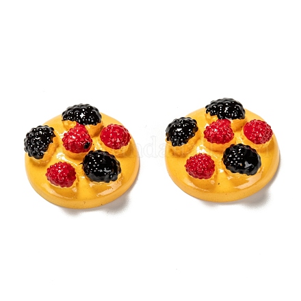 Resin Cabochons CRES-P016-A02-1