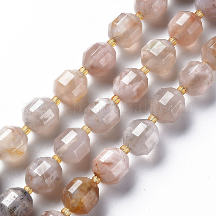 Chapelets de perles en agate naturelle de fleurs de cerisier G-T131-123-1
