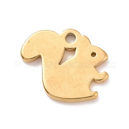 304 Stainless Steel Charms STAS-G287-03G-1