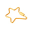 Stainless Steel Screw Clasps, Locking Carabiner, Star, Golden, 36x28mm