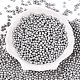 Perles de rocaille en verre&nbsp;SEED-T007-01P-1