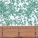 MIYUKI Delica Beads SEED-X0054-DB1182-2