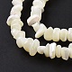 Chapelets de perles en coquillage naturel SSHEL-S278-132-5