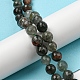 Natural Afican Bloodstone Beads Strands G-C079-B02-01-2