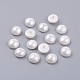 Shell Pearl Half Drilled Beads BSHE-G011-01-8mm-1