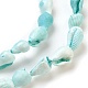 Chapelets de perles de coquille en spirale BSHE-L037-09-2