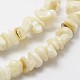 Chapelets de perles de coquillage naturel G-F328-45-3