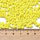 Backlack Glasperlen&nbsp;SEED-K009-01A-08-4