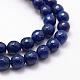 Faceted Natural Lapis Lazuli Beads Strands G-F364-14-8mm-3