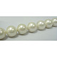 Cuentas redondas de perlas de concha pulidas X-SP12MM701-2