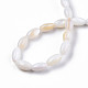 Eau douce naturelle de coquillage perles brins X-SHEL-N026-212-A01-3