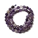 Natürlichen Amethyst Perlen Stränge&nbsp;G-K376-F03-01-3