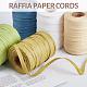 BENECREAT 1 Roll Raffia Paper Cords for DIY Jewelry Making OCOR-BC0001-54C-5