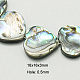 Natural Abalone Shell/Paua Shell Beads Strands SSHEL-G003-7-16x16x3mm-1