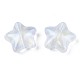 Perles en acrylique transparente X-OACR-N008-096-4