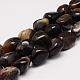 Negro natural de la madera petrificada hebras de perlas G-K153-D16-1