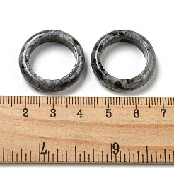 Natürlicher Labradorit-Bandring&nbsp;RJEW-P044-01C-01