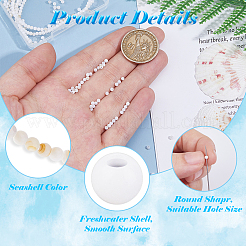 Shell perle naturali fili&nbsp;SSHEL-HS0001-02A