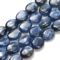 Chapelets de perles en cyanite naturelle&nbsp;G-H335-D01-8x10mm-A