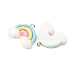 Pendentifs en résine opaque&nbsp;RESI-K048-05