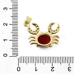 Pendentifs avec zircon cubiques à micro-pavés en laiton&nbsp;LS-KK-K302-05G