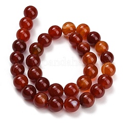 Natürlichen Karneol-Perlen Stränge&nbsp;GG-CBA1CAF-A01-12mm