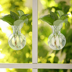 8 vase hydroponique en acrylique&nbsp;DJEW-WH0643-107