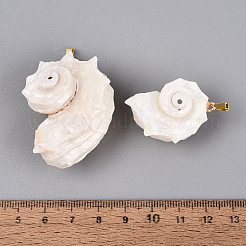 Ciondoli a spirale in ferro e conchiglie naturali&nbsp;SHEL-Q029-15KCG