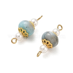 Breloques connecteurs en larimar naturel et perle de coquillage&nbsp;PALLOY-JF06033