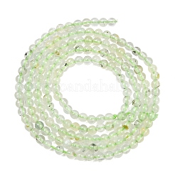 Natur Prehnit Perlen Stränge&nbsp;G-C255-B03-2mm