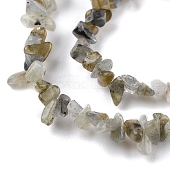 Perline labradorite naturale fili&nbsp;G-G0003-B32