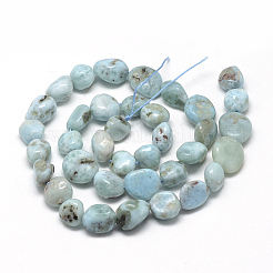 Larimar Naturperlen Stränge&nbsp;G-R445-8x10-15