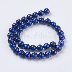 Natürlicher Lapislazuli Perlenstränge&nbsp;G-G423-10mm-A