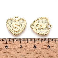 Pendentifs en alliage&nbsp;PALLOY-N157-001S-NR