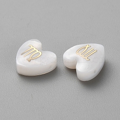 5 pieza de cuentas de concha blanca natural&nbsp;BSHE-TAC0004-02H