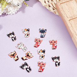 48pcs 6 styles de pendentifs en émail en alliage&nbsp;ENAM-DR0001-04