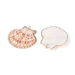 Pendagli di conchiglia di conchiglia di elettroplate&nbsp;LS-SSHEL-S262-32