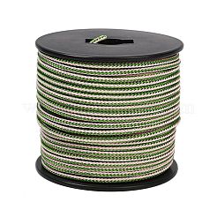 Fils tressés en acier inoxydable 304 recouverts de nylon de 40 m&nbsp;TWIR-P002-01B-04