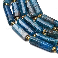 Natürliche Apatit Perlen Stränge&nbsp;G-D353-A02