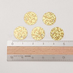 Schmuckzubehör Kunststoff Pailletten / Pailletten Charms&nbsp;X-PVC-E001-09-LS01