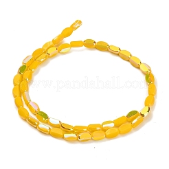 Perles en verre opaque électroplaqué&nbsp;EGLA-H112-06-HR03