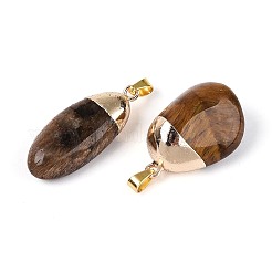 Pendentifs en œil de tigre naturel&nbsp;G-N360-05G-07
