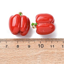 Pendentifs en résine végétale imitation&nbsp;RESI-K033-03A-03