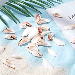 Shell perle naturali di acqua dolce&nbsp;SSHEL-NB0001-21