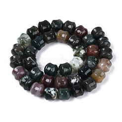 Chapelets de perles en agate indienne naturelle&nbsp;G-N353-06A-06